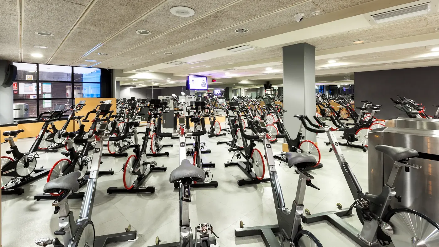 Sala SpinDiR