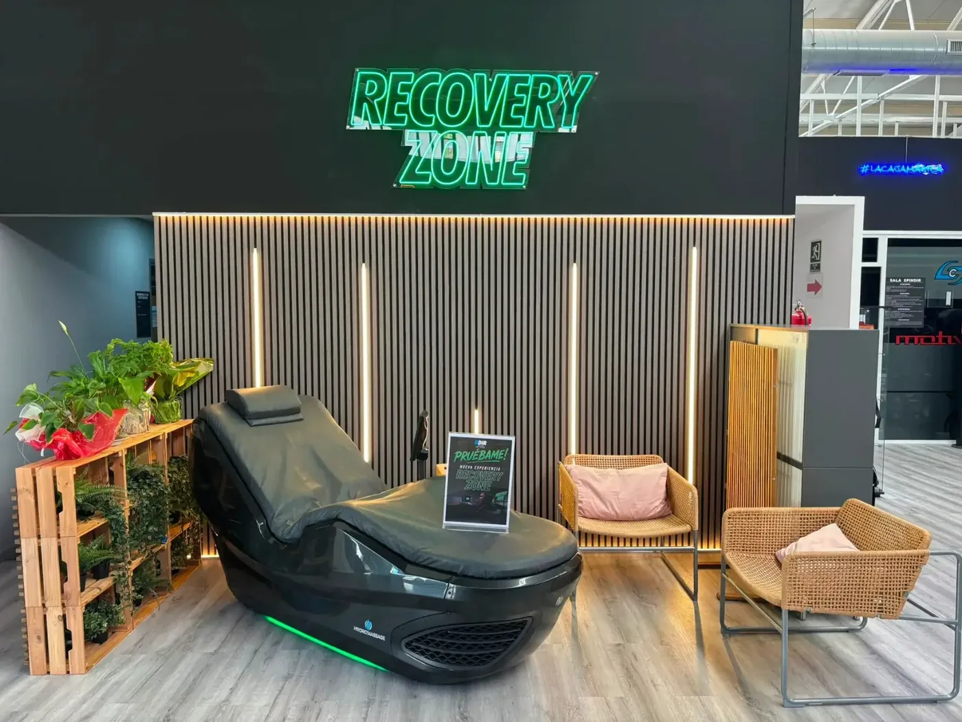 Zona Recovery